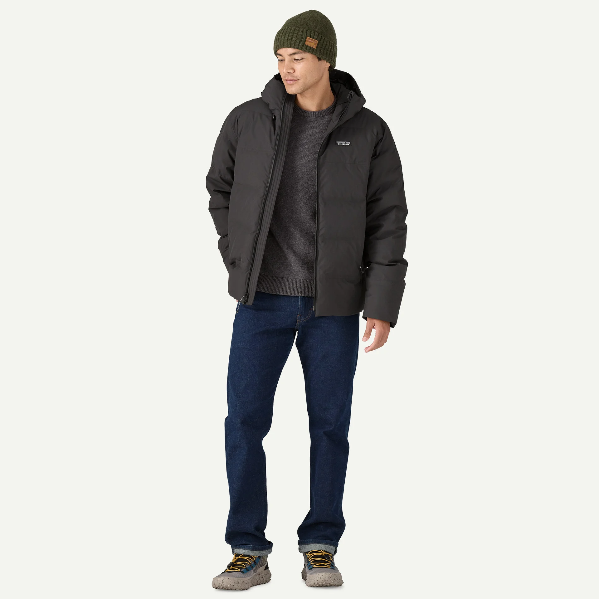 Patagonia Jackson Glacier Jacket